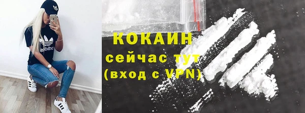 ПСИЛОЦИБИНОВЫЕ ГРИБЫ Лиски