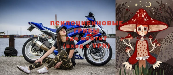 ПСИЛОЦИБИНОВЫЕ ГРИБЫ Лиски