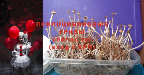 ПСИЛОЦИБИНОВЫЕ ГРИБЫ Лиски