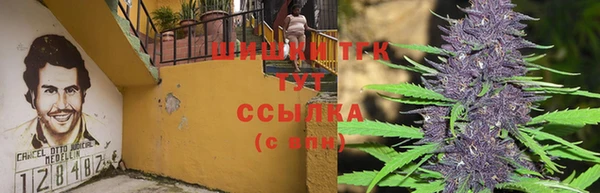 ПСИЛОЦИБИНОВЫЕ ГРИБЫ Лиски