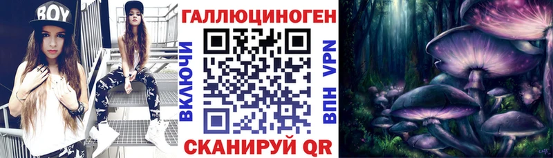 Галлюциногенные грибы GOLDEN TEACHER  Купить  Таштагол 
